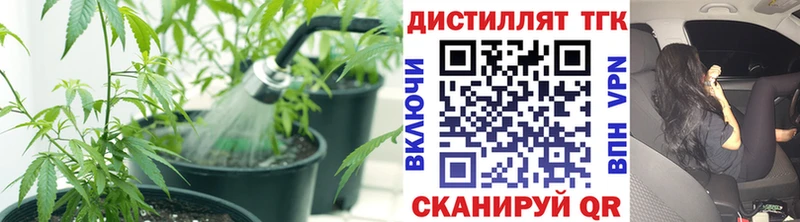 ТГК Wax  Купить где  Чудово 